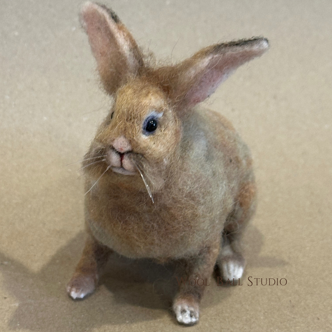 Custom Realistic Pet