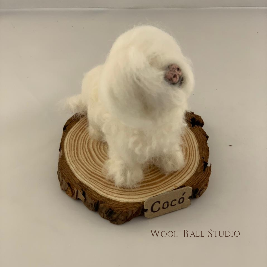 Custom Realistic Pet