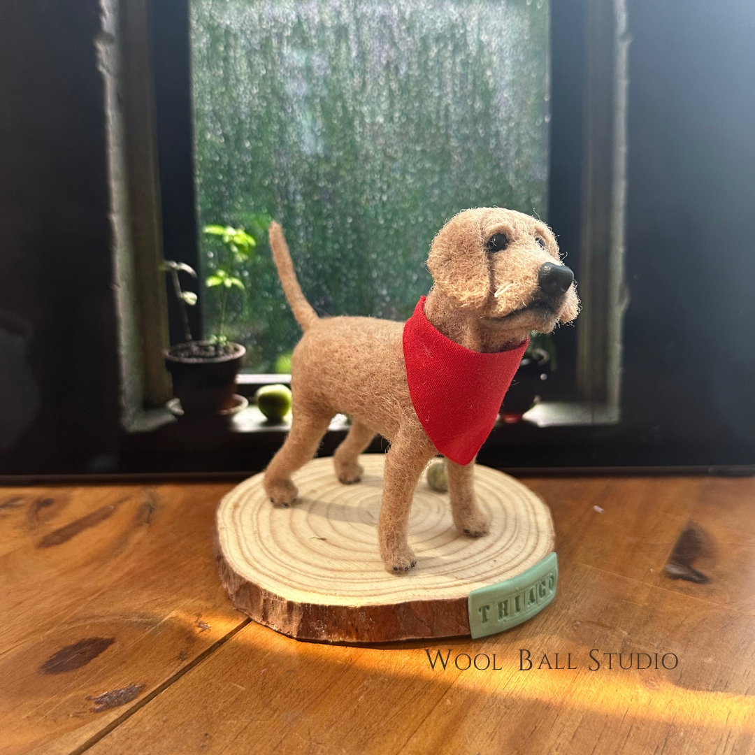 Custom Realistic Pet